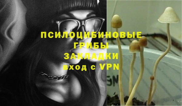 круглые Новодвинск