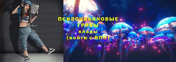 дурь Новозыбков