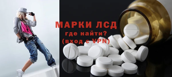 прущие грибы Новокубанск