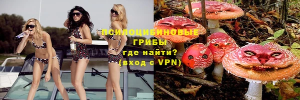 круглые Новодвинск