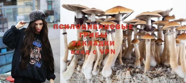 дурь Новозыбков