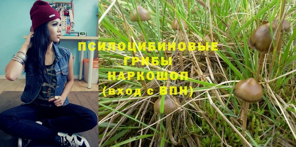 круглые Новодвинск