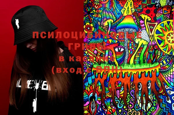 дурь Новозыбков