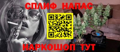 PSILOCYBIN Северобайкальск
