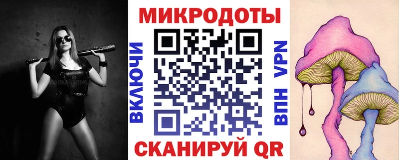 что такое   Урус-Мартан  Галлюциногенные грибы Psilocybe 