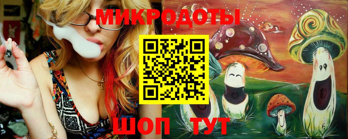 Галлюциногенные грибы Psilocybe Урус-Мартан